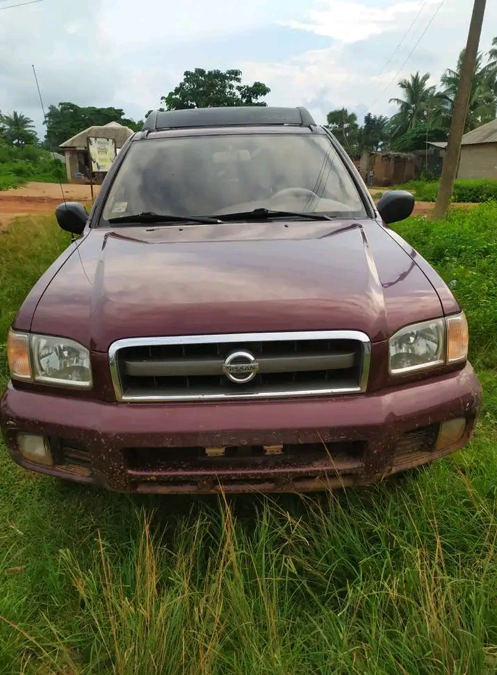 Nissan Pathfinder — photo 1