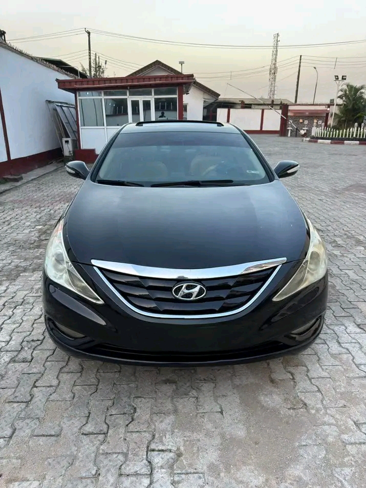 2011 Hyundai Sonata โ photo 1